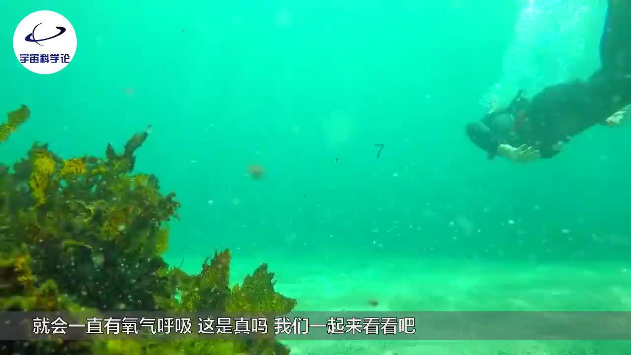杀手5